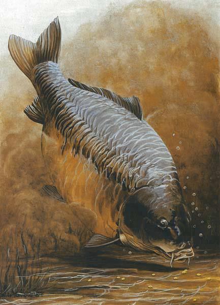 Diverse - 1379567423042734461928522314642n.jpg